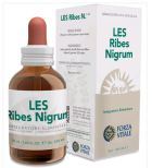 Ribes Nigrum Blackcurrant 50 ml