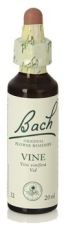 Bach 32 Vine 20 ml