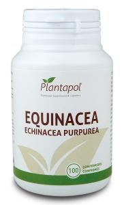 Echinacea 100 Tablets Eco