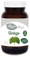 Ginkgo biloba