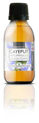 Cajeput Essential Oil