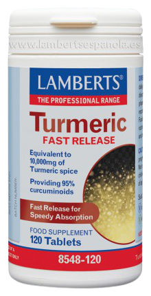 Turmeric Quick Release 120 Capsules