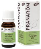 Organic Blue Eucalyptus Essential Oil