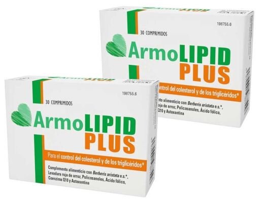 Viatris Armolipid Plus 2 x 30 Tablets